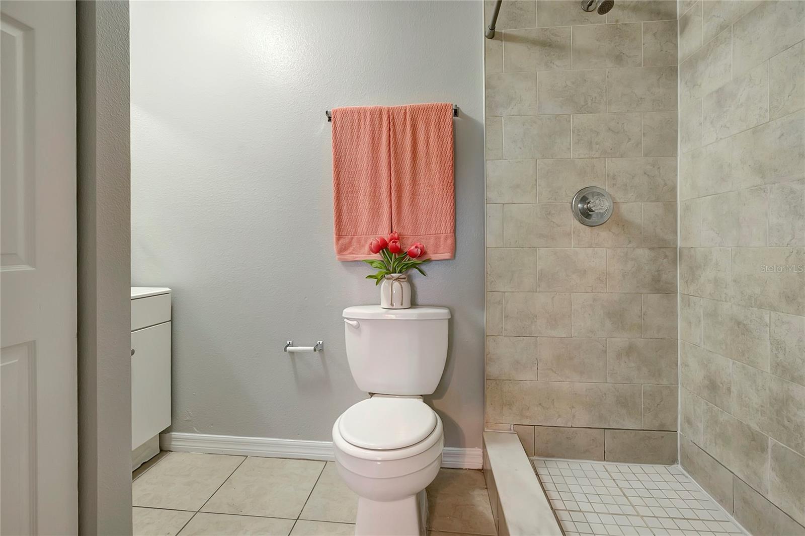 10007 N 20TH ST, TAMPA, FL, 33612