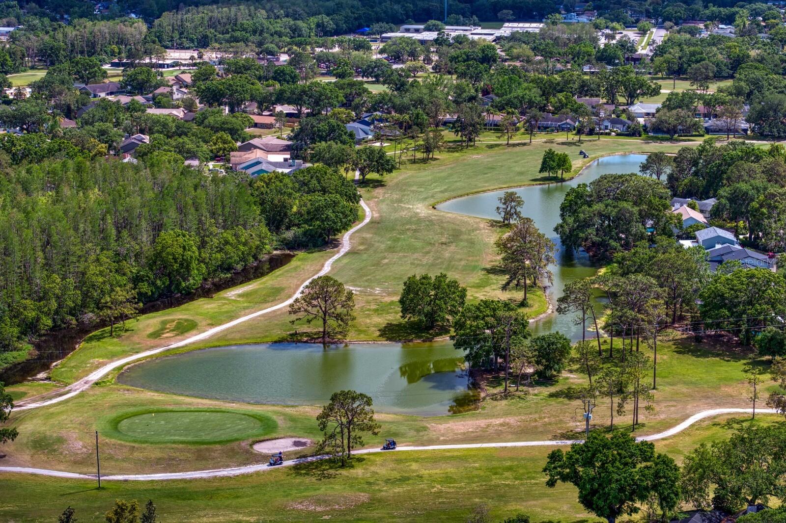 16701 E COURSE DR, TAMPA, FL, 33624