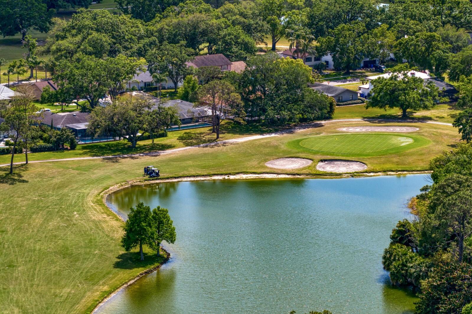 16701 E COURSE DR, TAMPA, FL, 33624