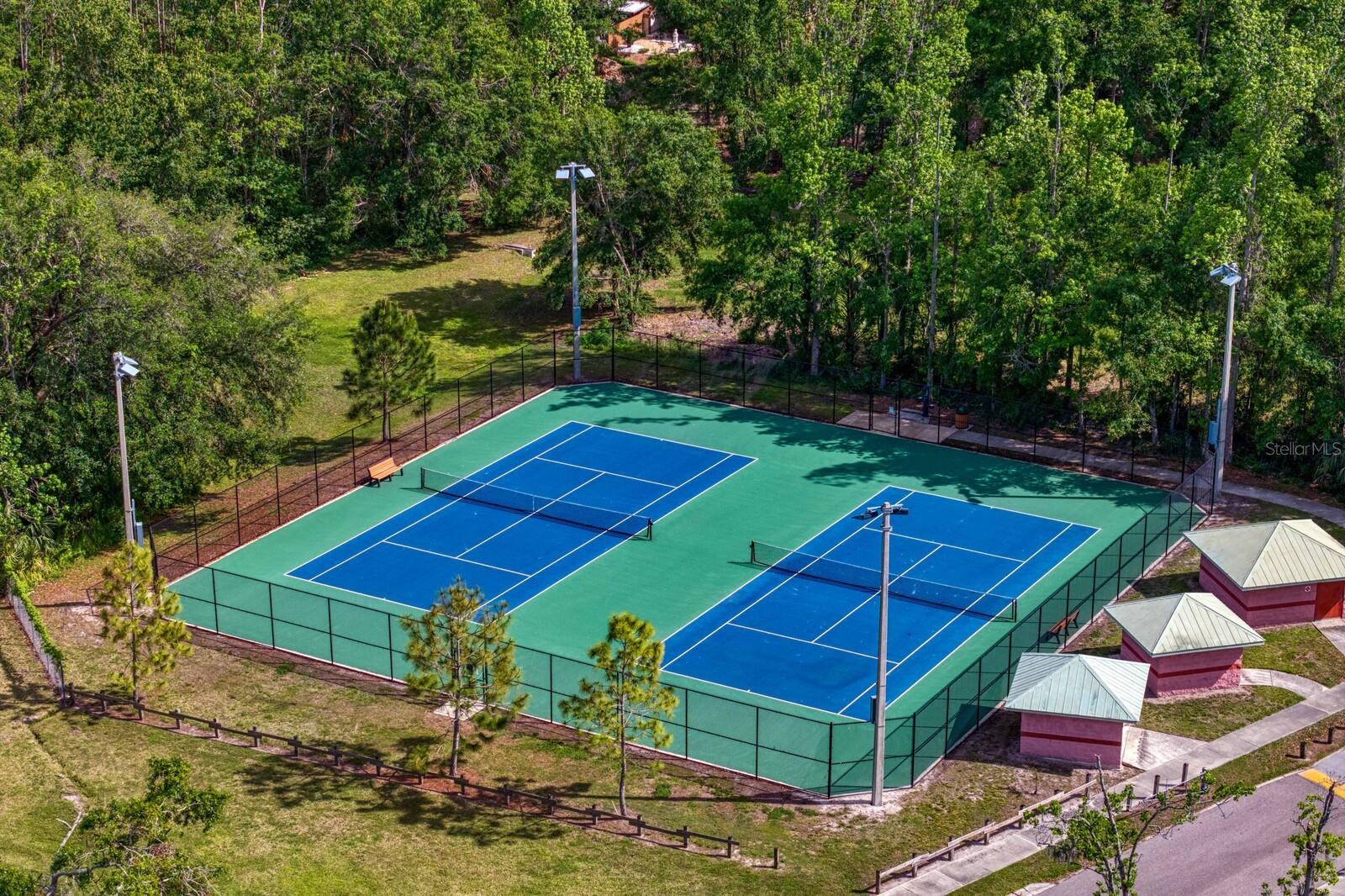 16701 E COURSE DR, TAMPA, FL, 33624