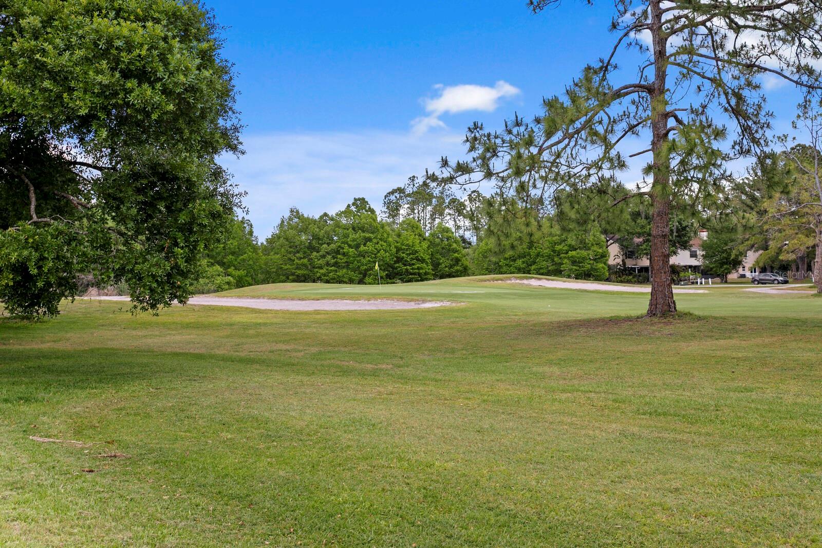 16701 E COURSE DR, TAMPA, FL, 33624