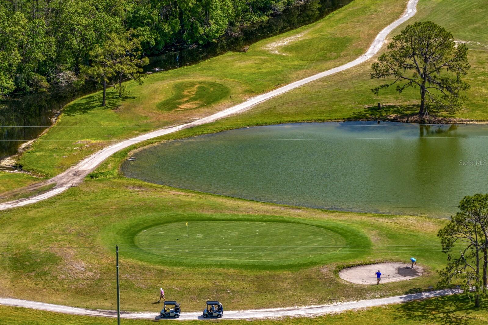 16701 E COURSE DR, TAMPA, FL, 33624