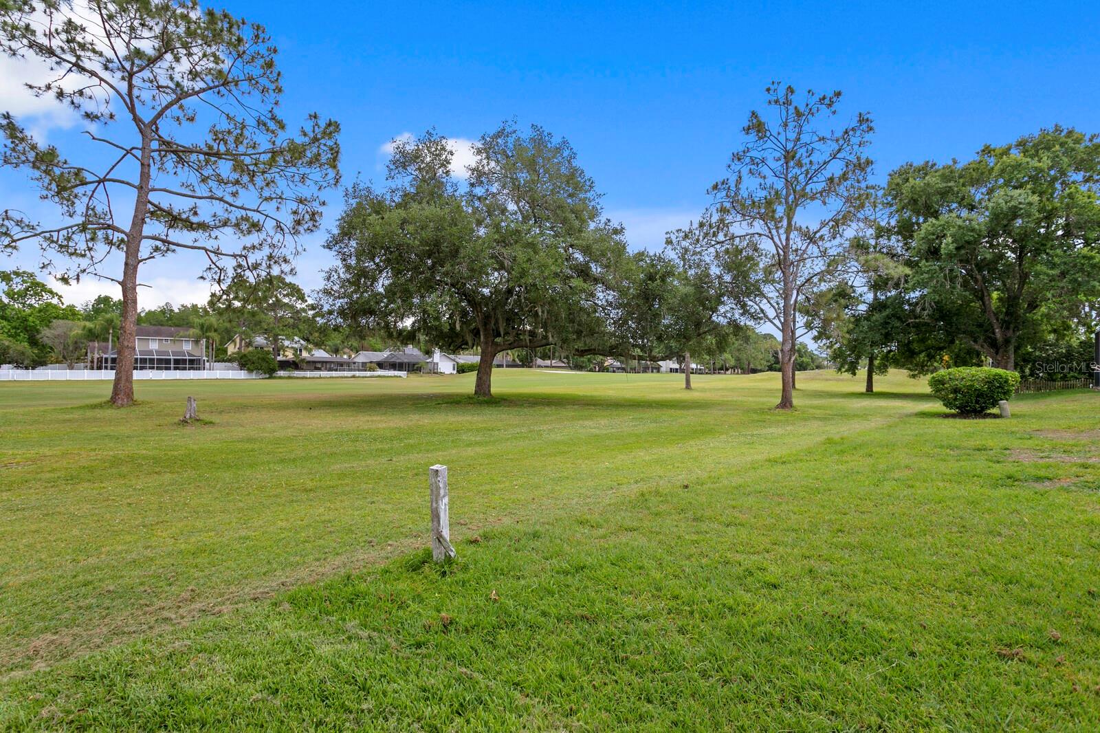 16701 E COURSE DR, TAMPA, FL, 33624