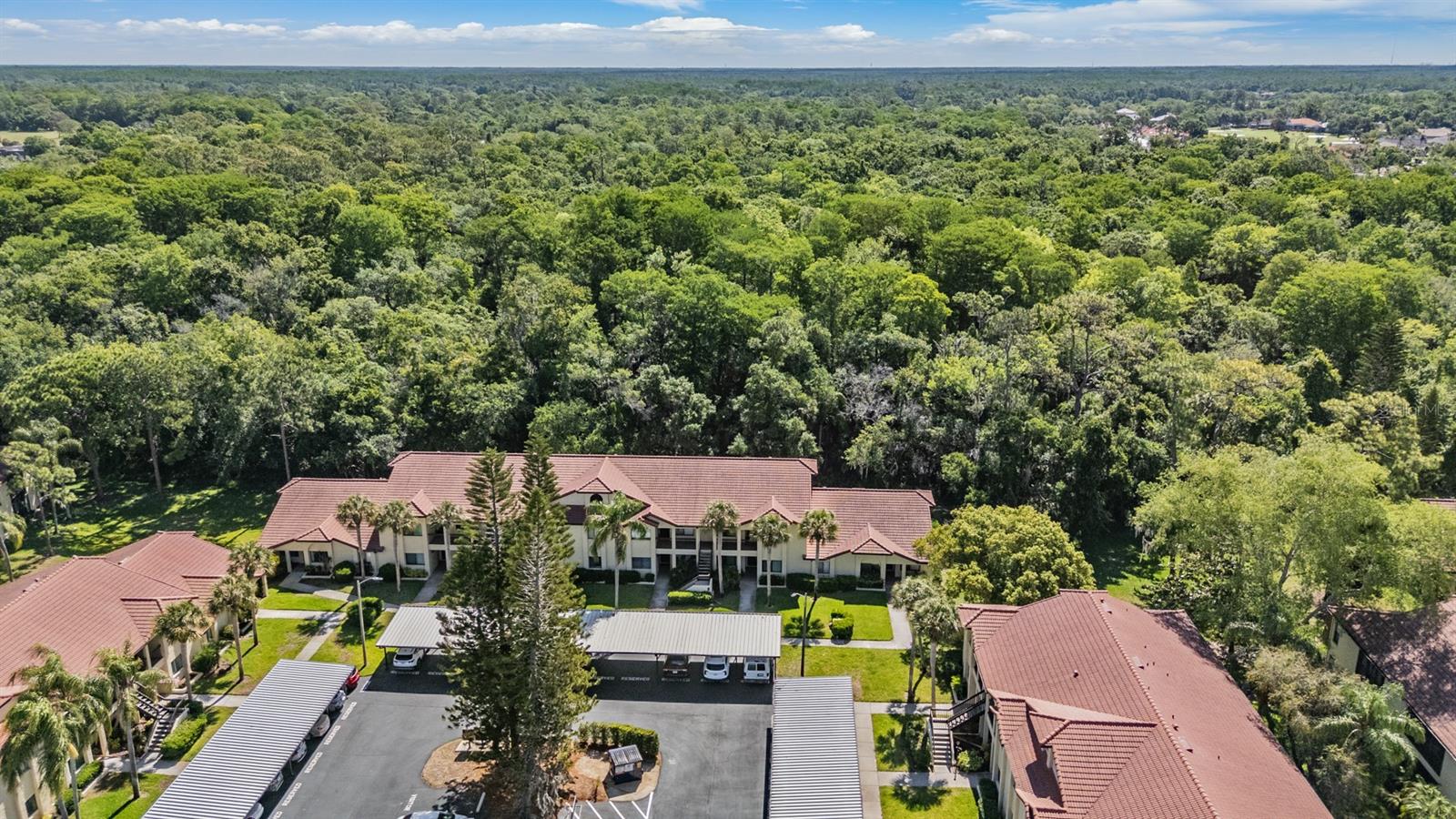 1801 E LAKE RD #6J, PALM HARBOR, FL, 34685