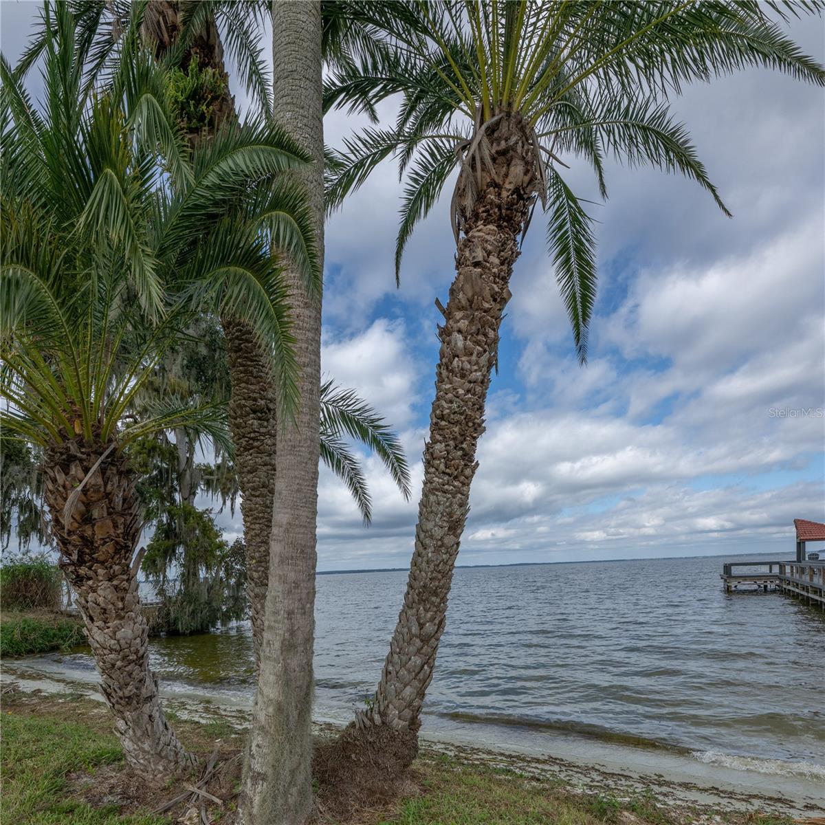 109 WATERWOOD DR, YALAHA, FL, 34797