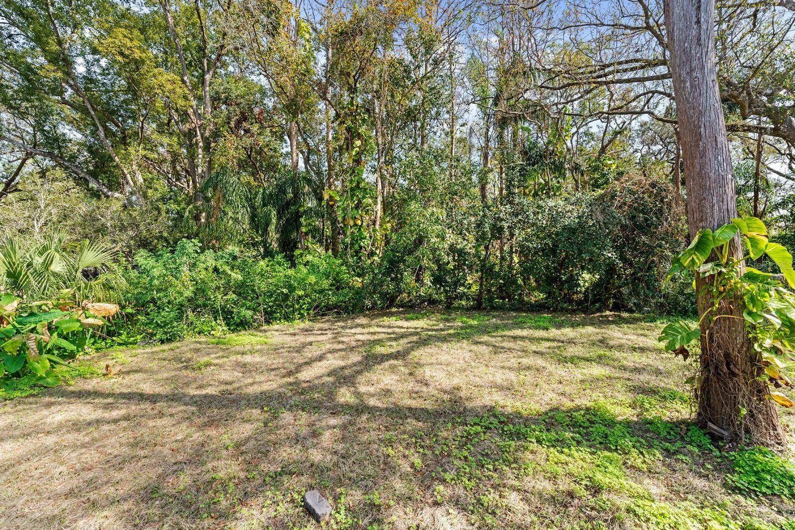 8119 N DAKOTA AVE, TAMPA, FL, 33604