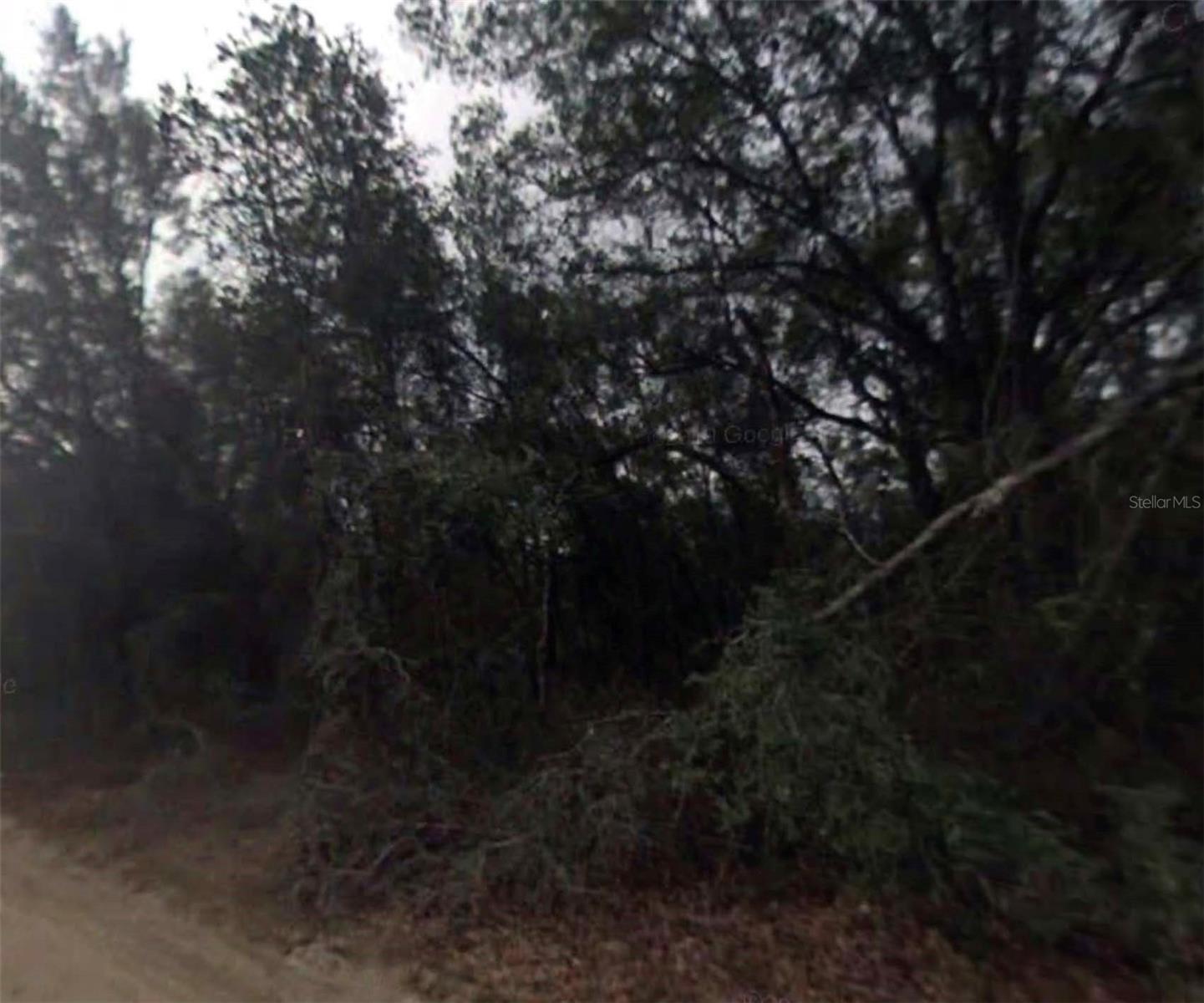 612 LONGWOOD AVE, INVERNESS, FL, 34453