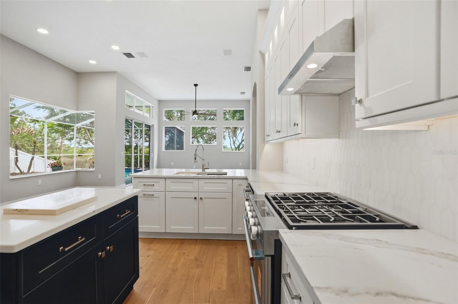 1725 RIVER WATCH BLVD, TARPON SPRINGS, FL, 34689
