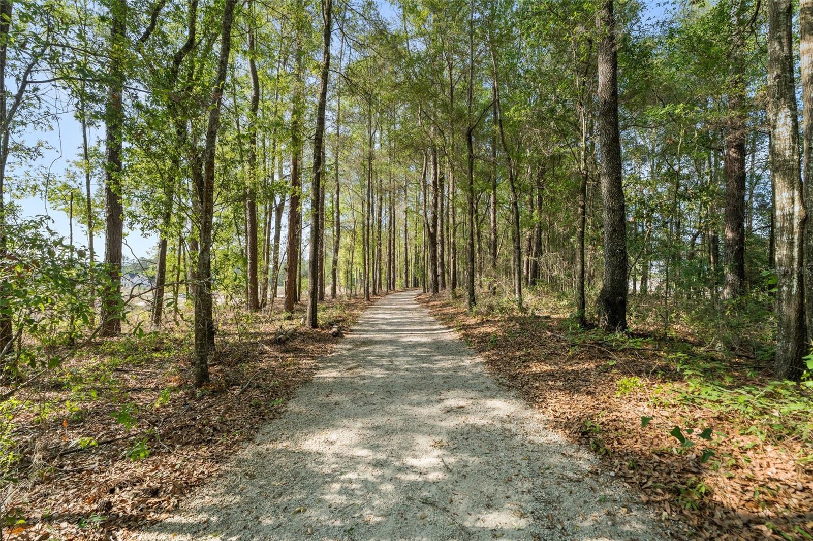 1114 SW 143RD ST, NEWBERRY, FL, 32669