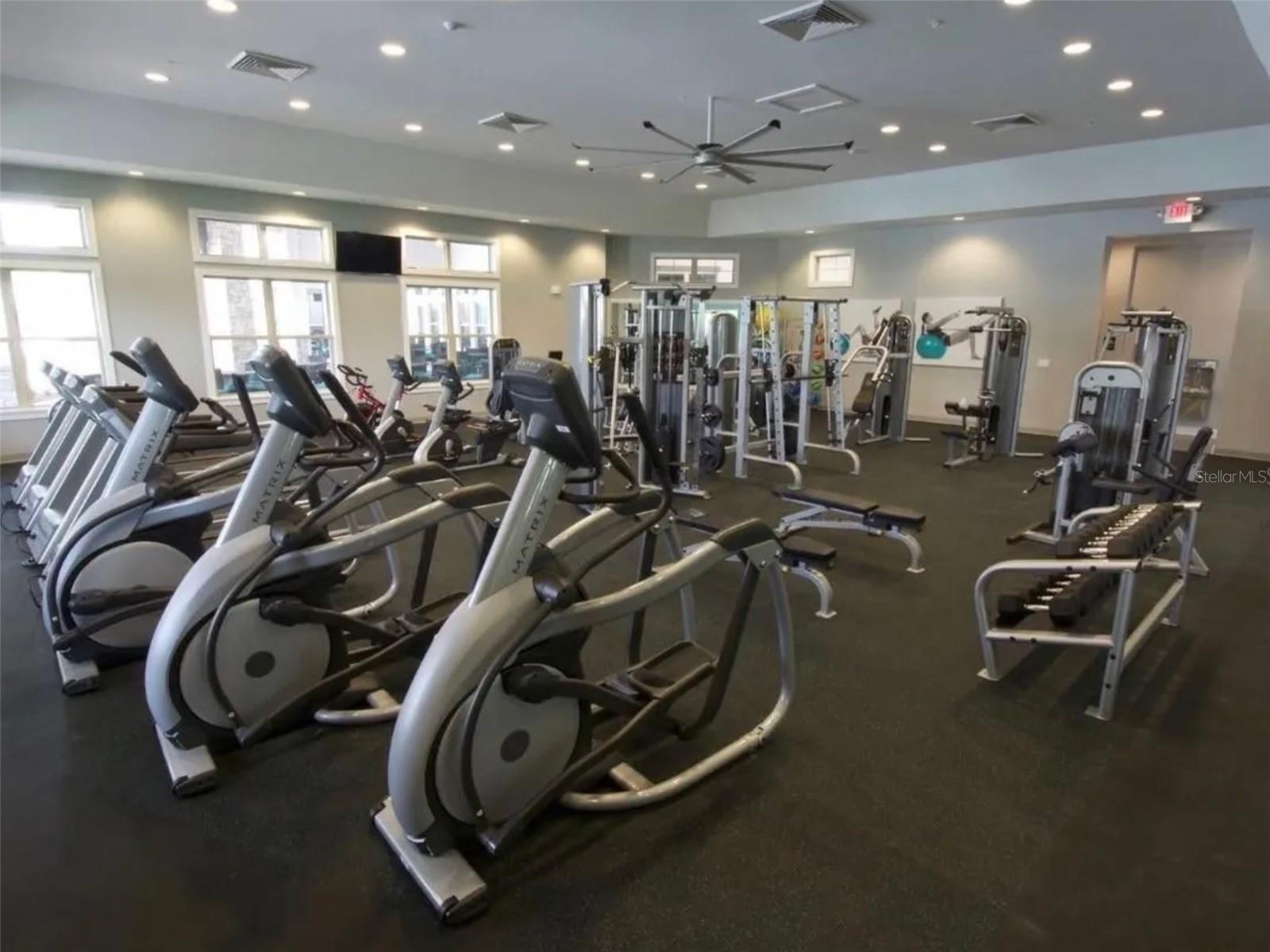 16226 ROCK COAST DR, WINTER GARDEN, FL, 34787