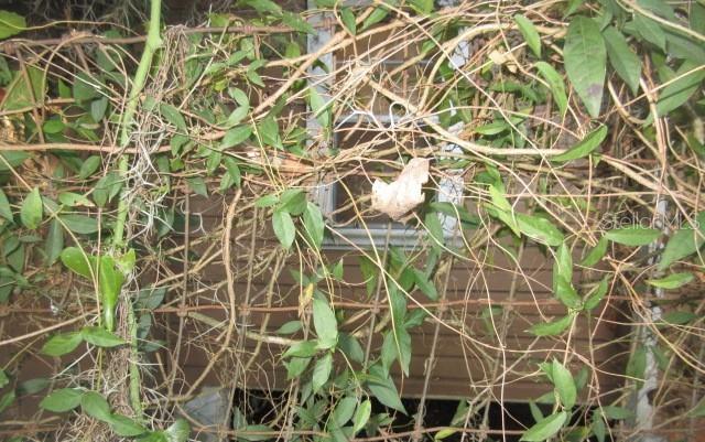 814 NW 2ND ST, OCALA, FL, 34475