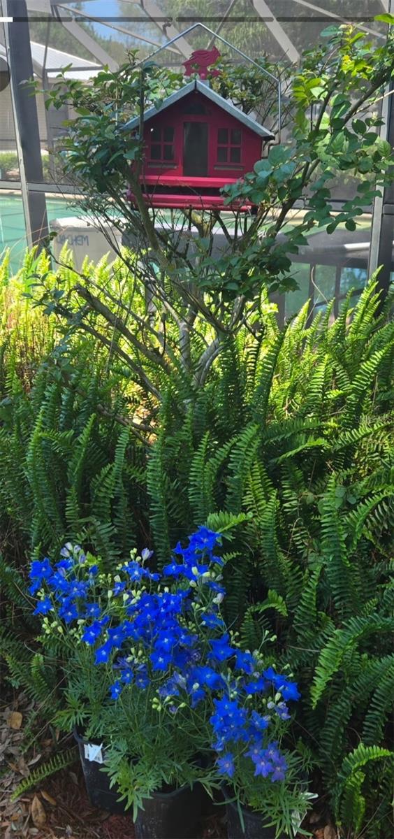 1590 PITCH PINE AVE, ST JOHNS, FL, 32259