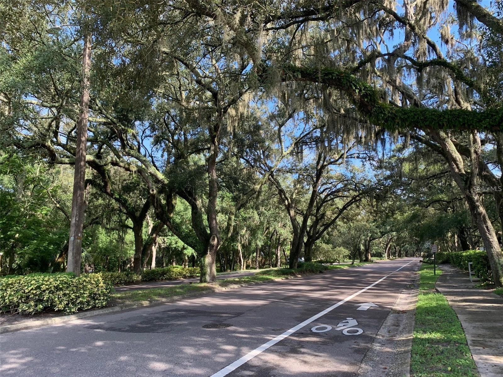 11715 RAINTREE VILLAGE BLVD #A, TEMPLE TERRACE, FL, 33617