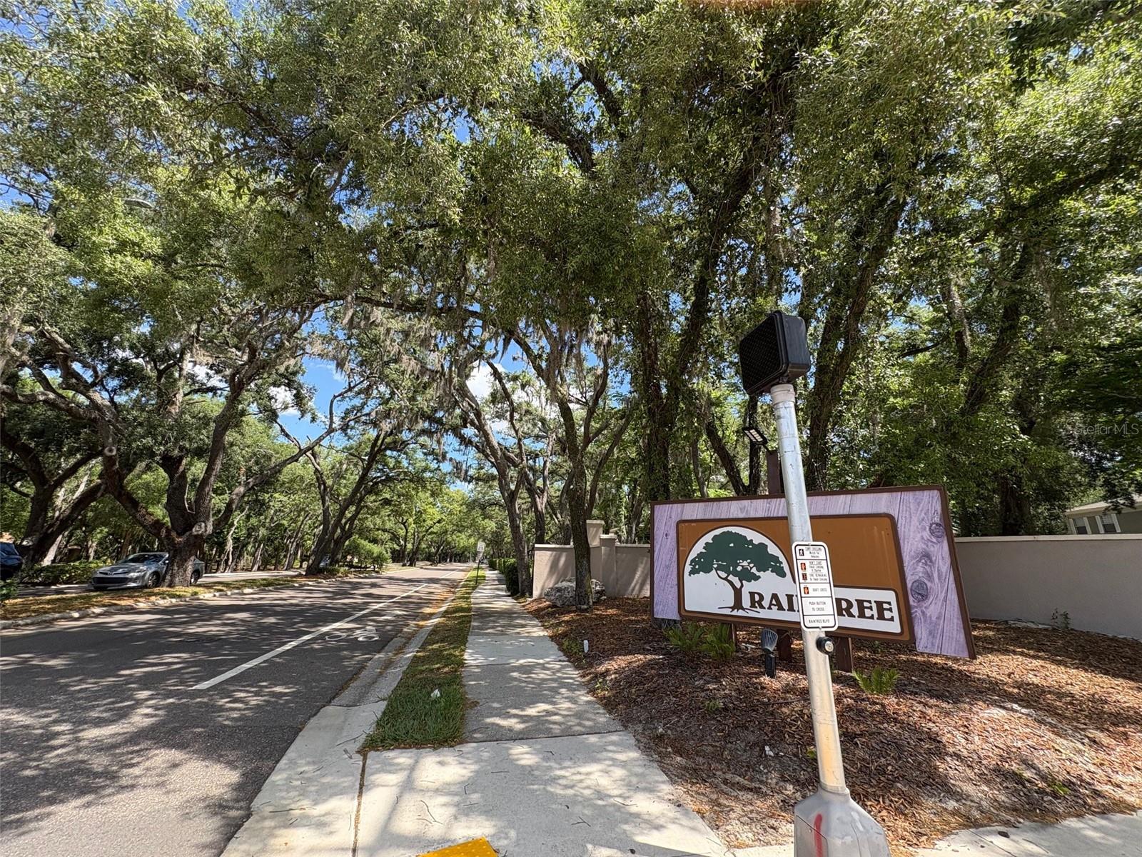 11715 RAINTREE VILLAGE BLVD #A, TEMPLE TERRACE, FL, 33617