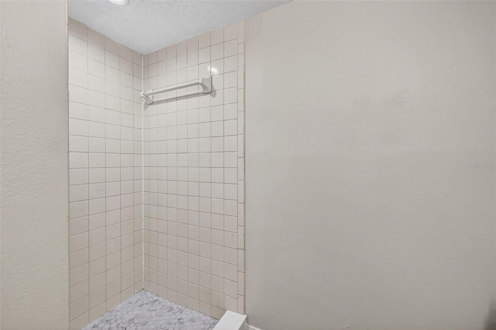 11715 RAINTREE VILLAGE BLVD #A, TEMPLE TERRACE, FL, 33617