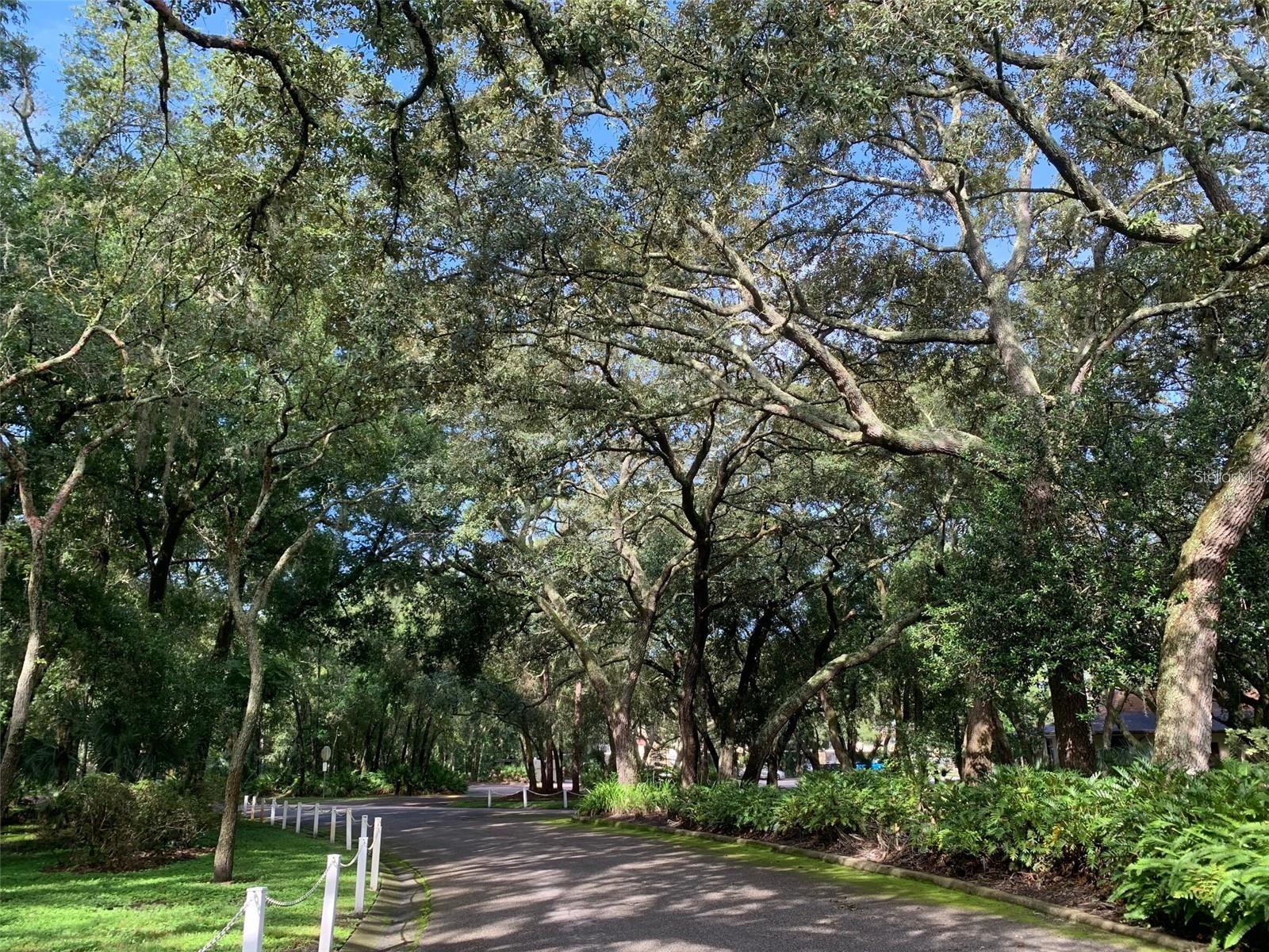 11715 RAINTREE VILLAGE BLVD #A, TEMPLE TERRACE, FL, 33617