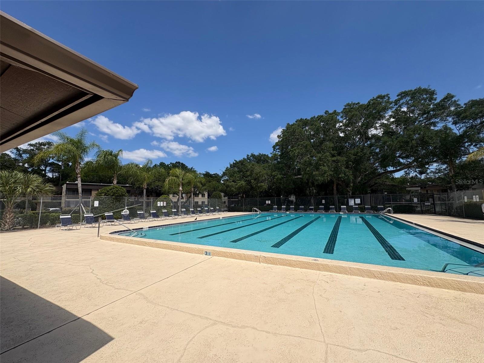 11715 RAINTREE VILLAGE BLVD #A, TEMPLE TERRACE, FL, 33617