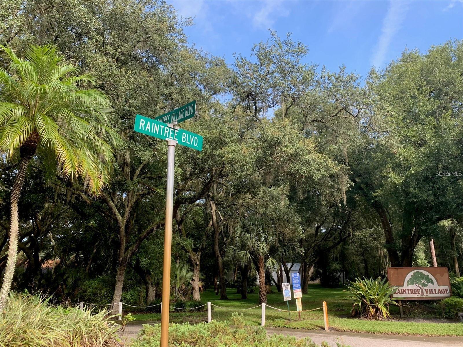 11715 RAINTREE VILLAGE BLVD #A, TEMPLE TERRACE, FL, 33617