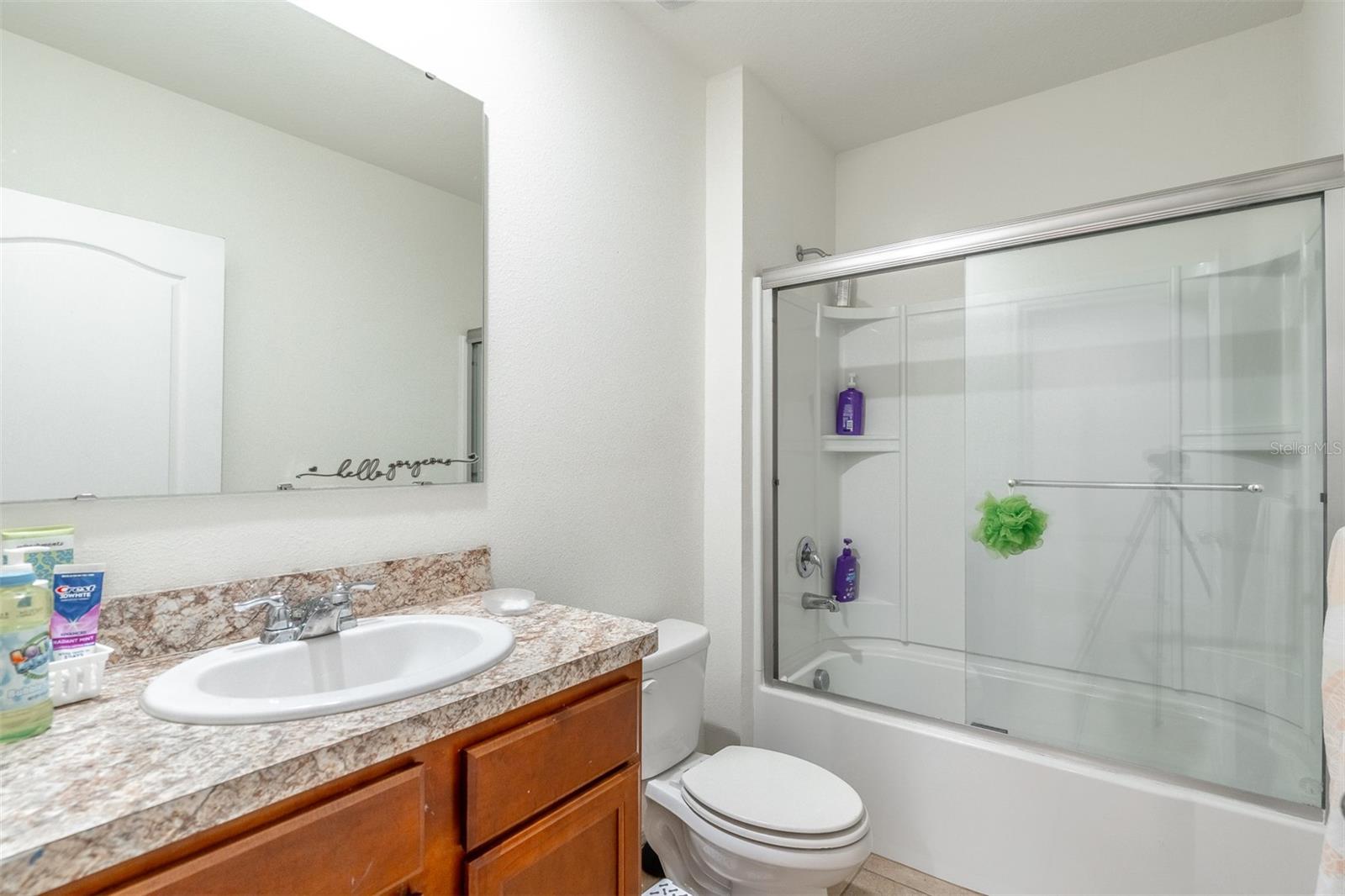 1419 FOX SQUIRREL DR, DAVENPORT, FL, 33897