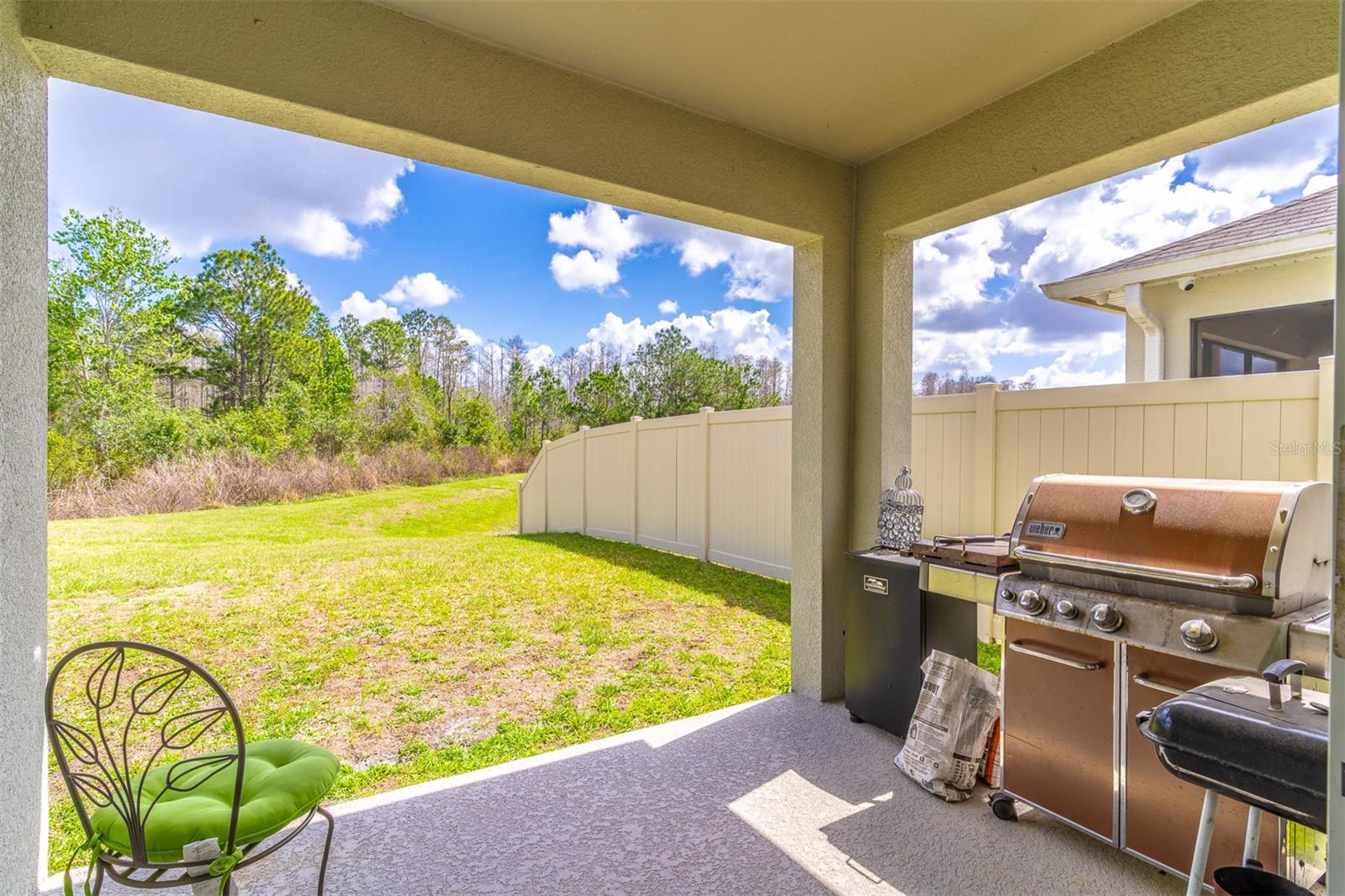 1419 FOX SQUIRREL DR, DAVENPORT, FL, 33897