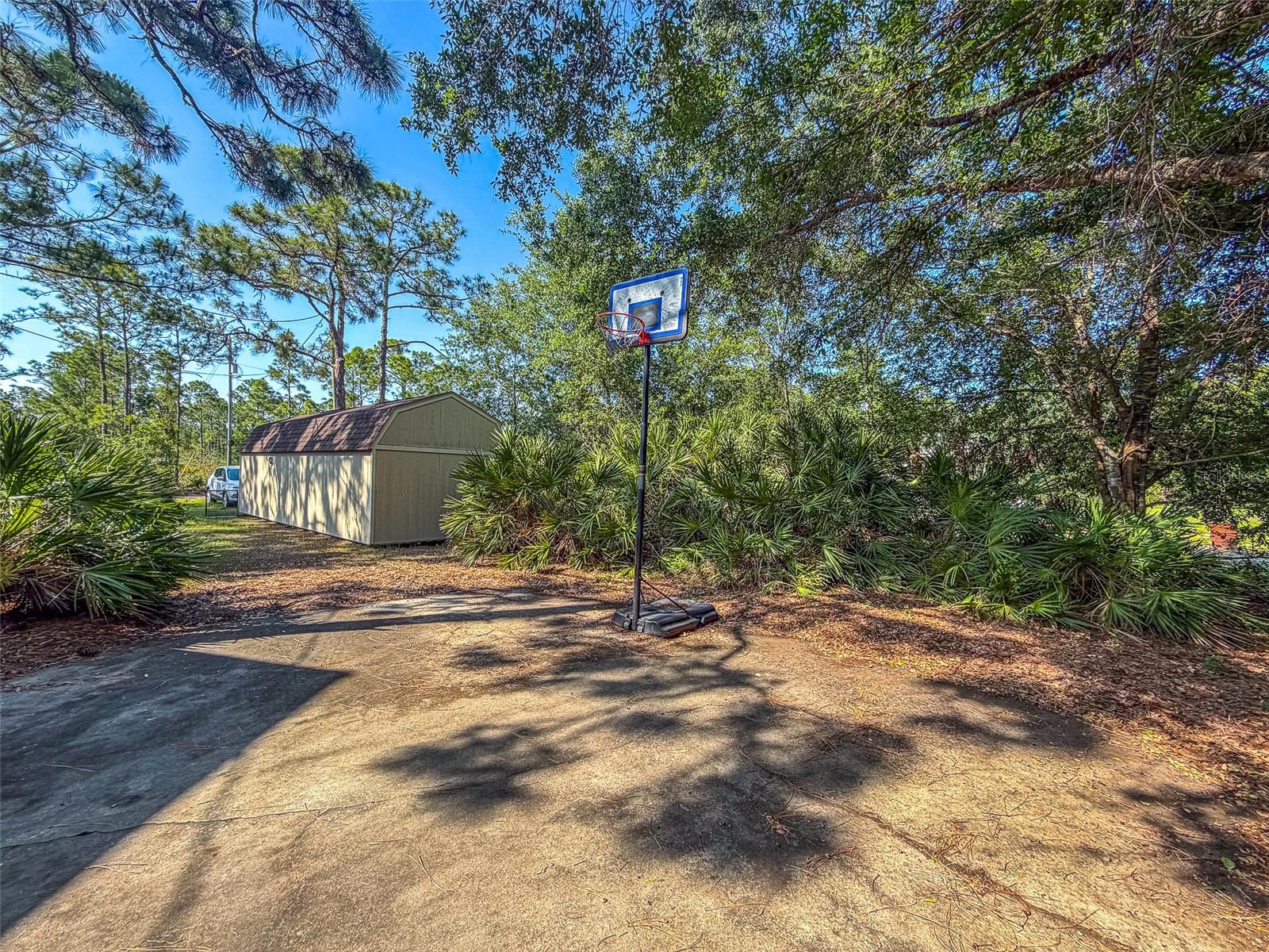 1019 DEARING ST, LAKE PLACID, FL, 33852