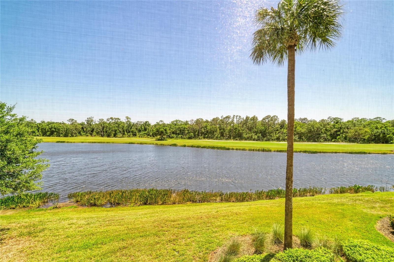17520 GAWTHROP DR #202, LAKEWOOD RANCH, FL, 34211