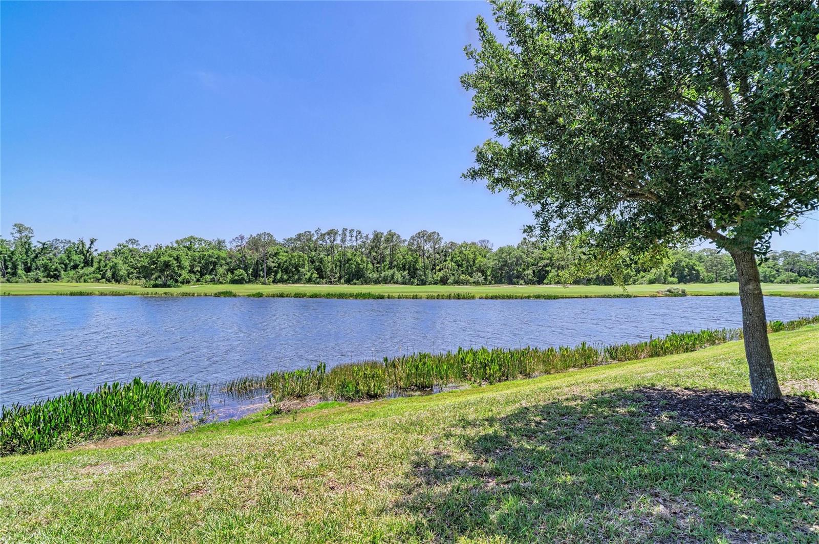 17520 GAWTHROP DR #202, LAKEWOOD RANCH, FL, 34211