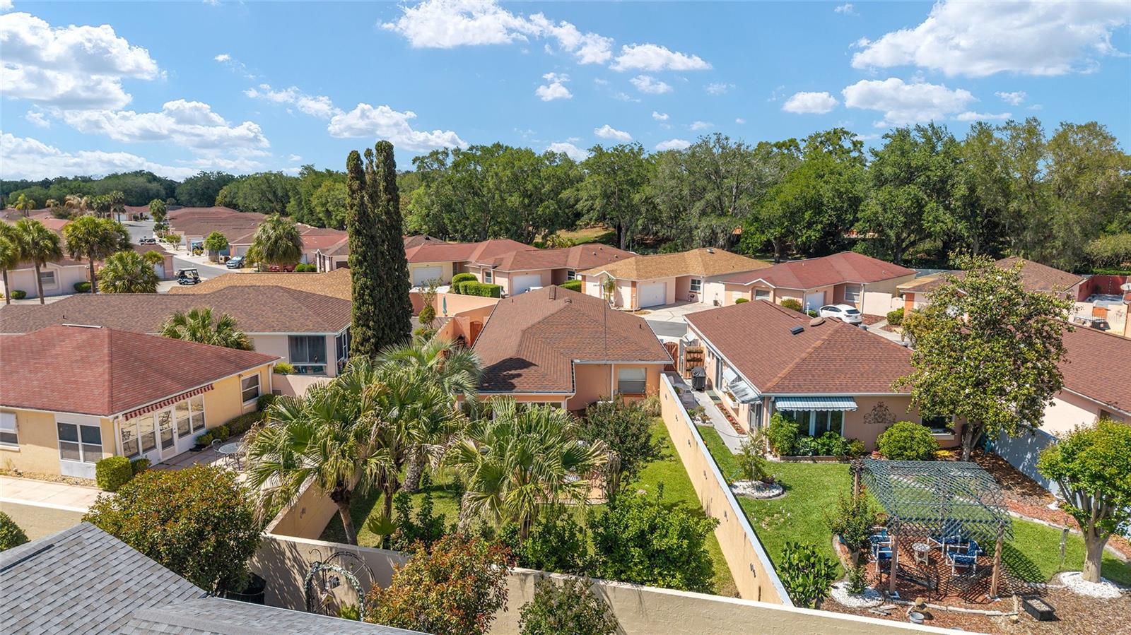 966 AVALON AVE, THE VILLAGES, FL, 32159