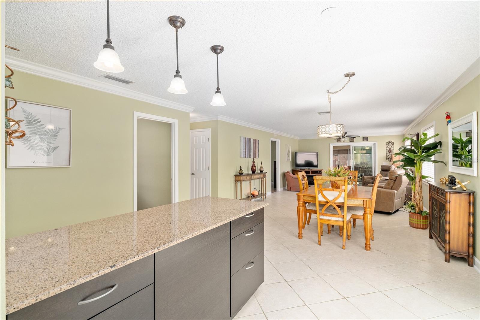 966 AVALON AVE, THE VILLAGES, FL, 32159