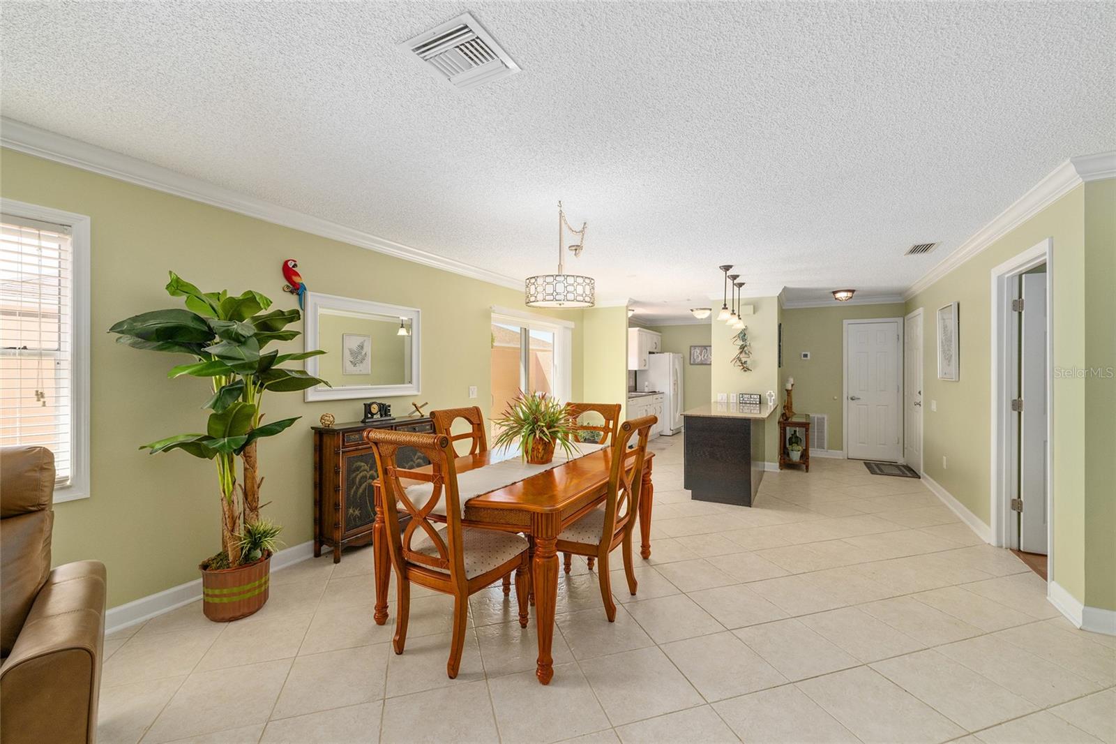 966 AVALON AVE, THE VILLAGES, FL, 32159