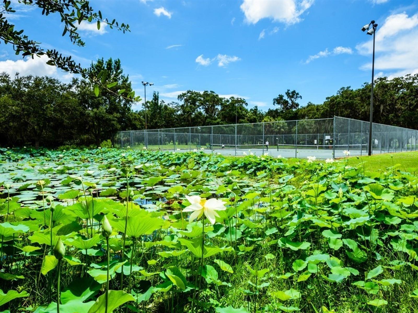 2120 ROBINSON AVE, SARASOTA, FL, 34232