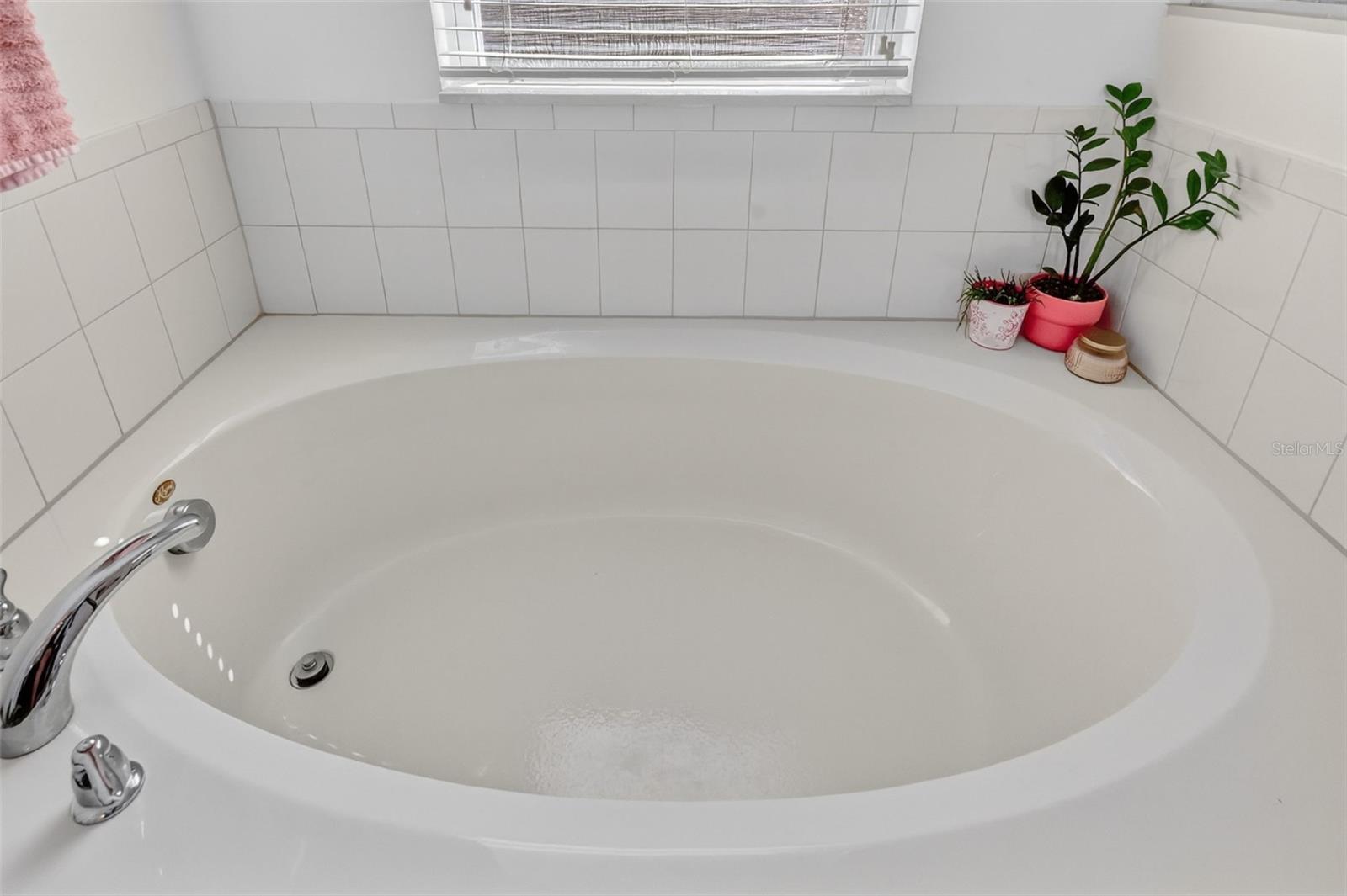 34040 ALAMEDA DR, SORRENTO, FL, 32776