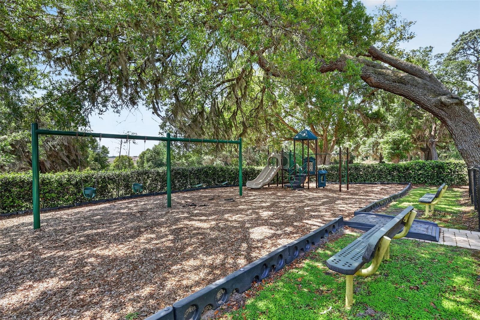 34040 ALAMEDA DR, SORRENTO, FL, 32776