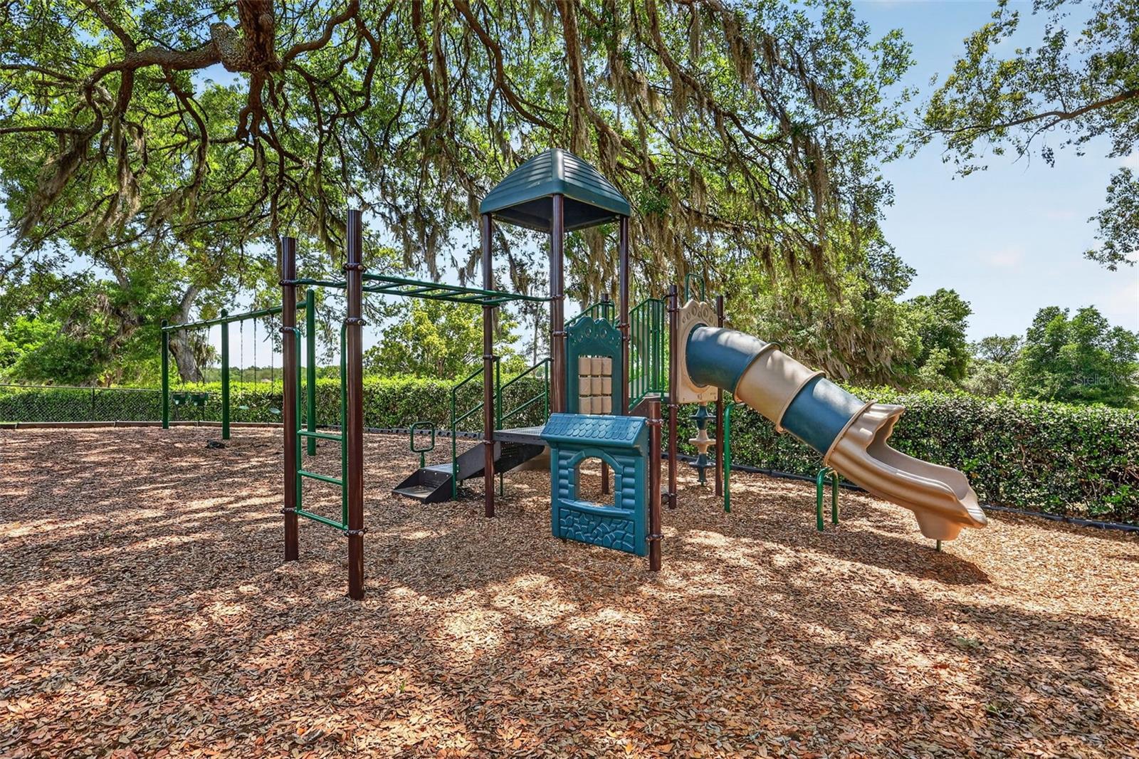 34040 ALAMEDA DR, SORRENTO, FL, 32776