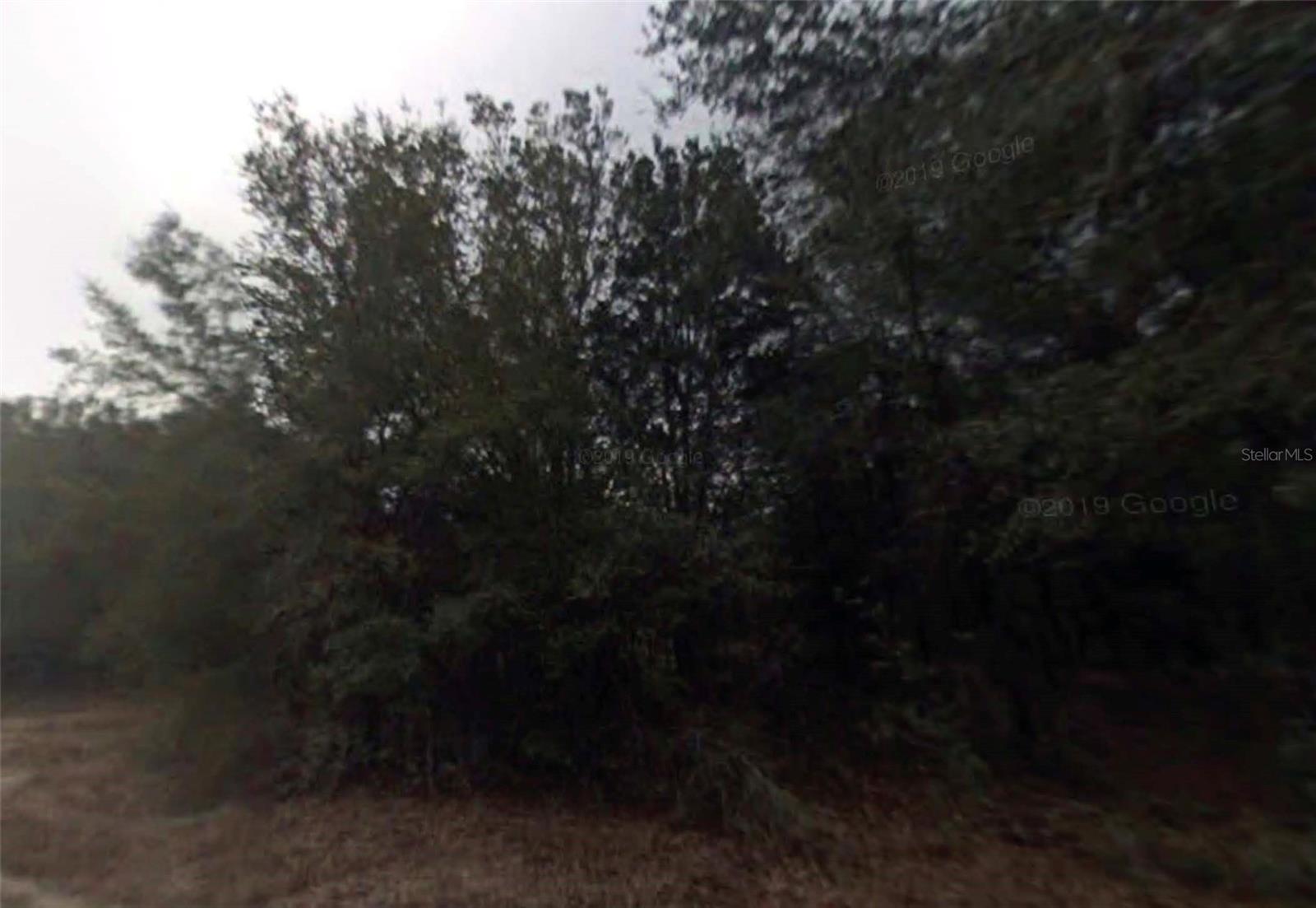 614 LONGWOOD AVE, INVERNESS, FL, 34453