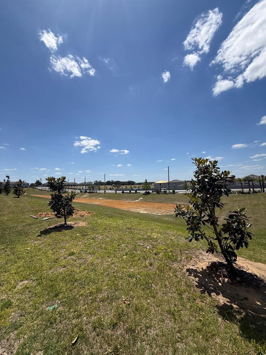 1419 PLANK PL, DAVENPORT, FL, 33837