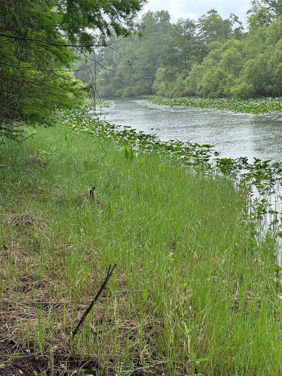 15120 SE 85TH ST, OCKLAWAHA, FL, 32179