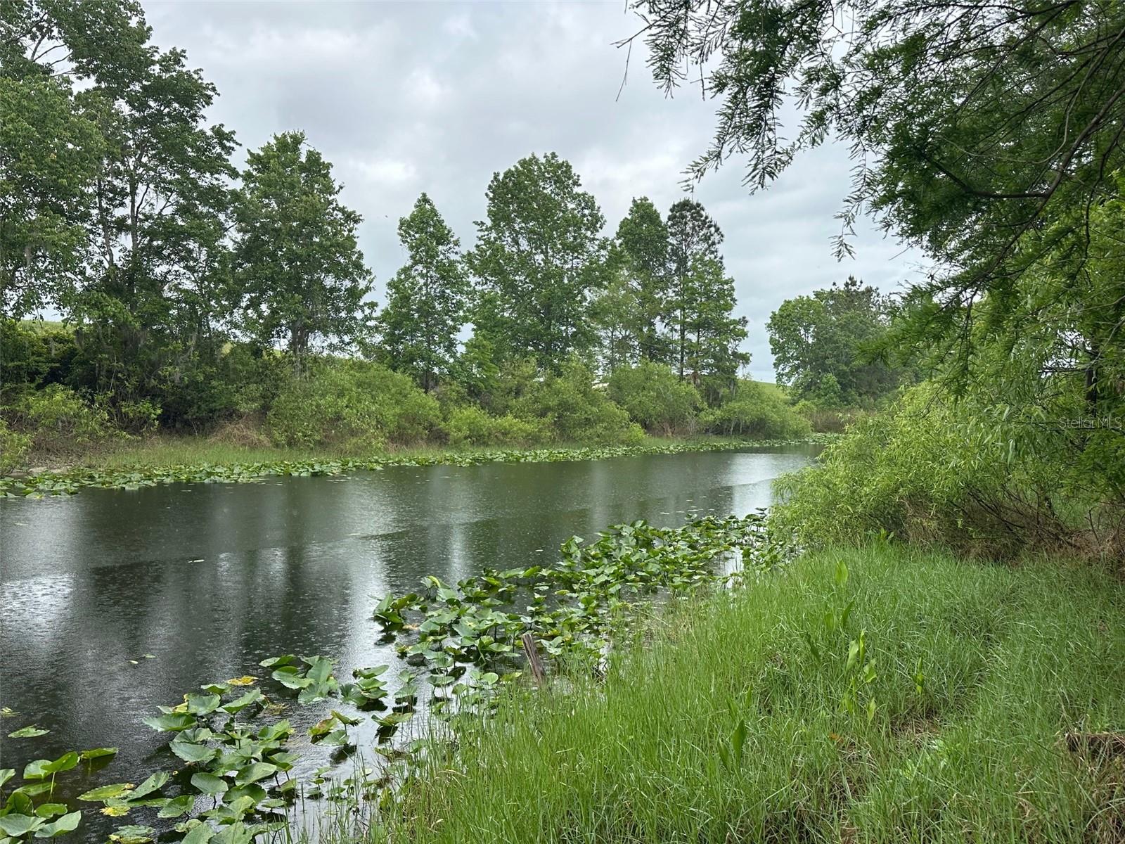 15120 SE 85TH ST, OCKLAWAHA, FL, 32179