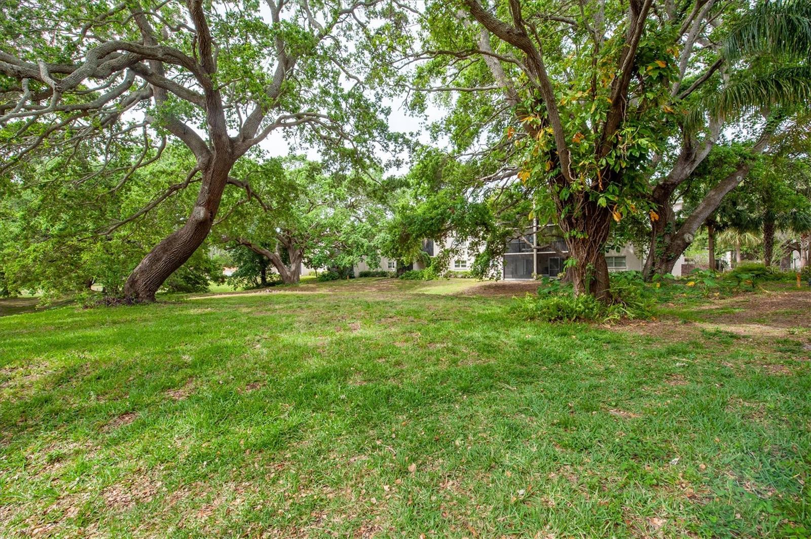 845 MAPLE CT #103, DUNEDIN, FL, 34698