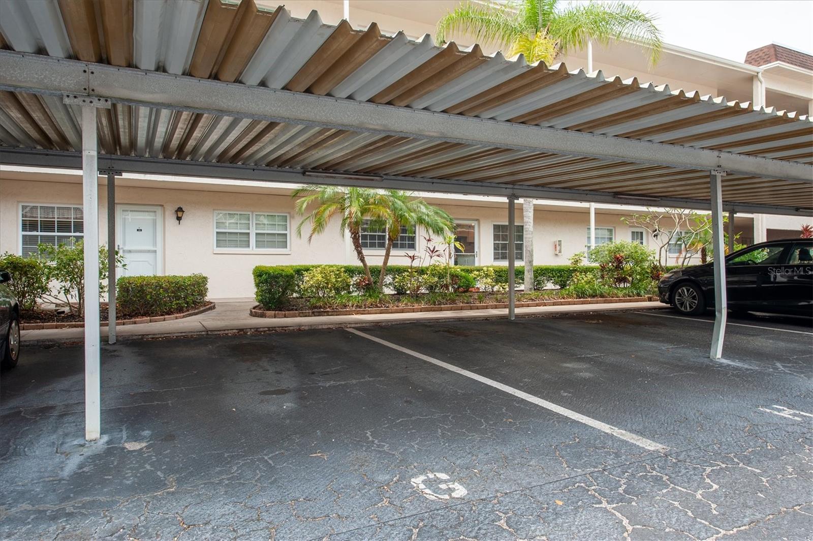 845 MAPLE CT #103, DUNEDIN, FL, 34698