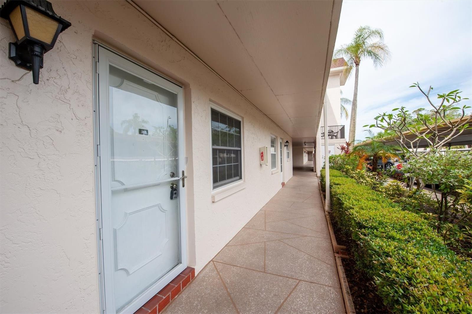 845 MAPLE CT #103, DUNEDIN, FL, 34698