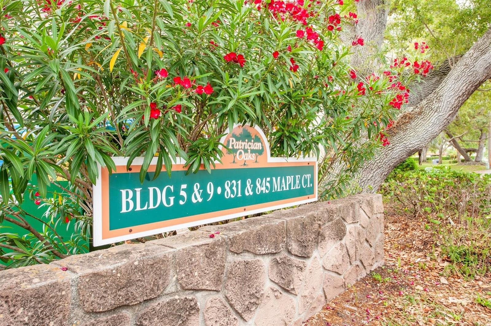 845 MAPLE CT #103, DUNEDIN, FL, 34698