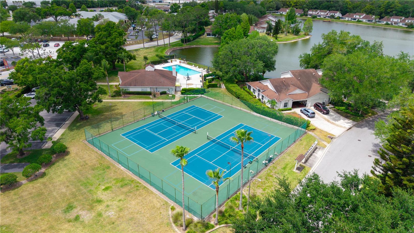 21506 GRAY TERN CT, LUTZ, FL, 33549