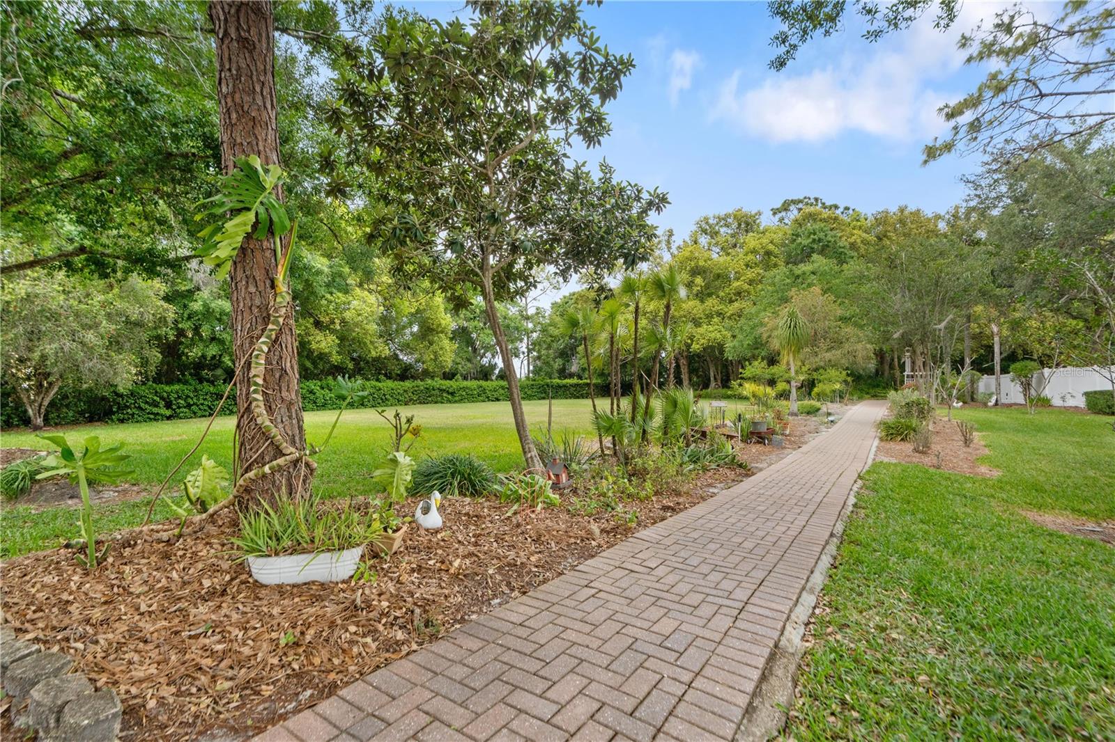 21506 GRAY TERN CT, LUTZ, FL, 33549