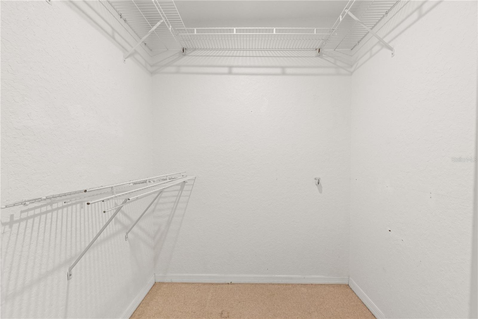 21506 GRAY TERN CT, LUTZ, FL, 33549