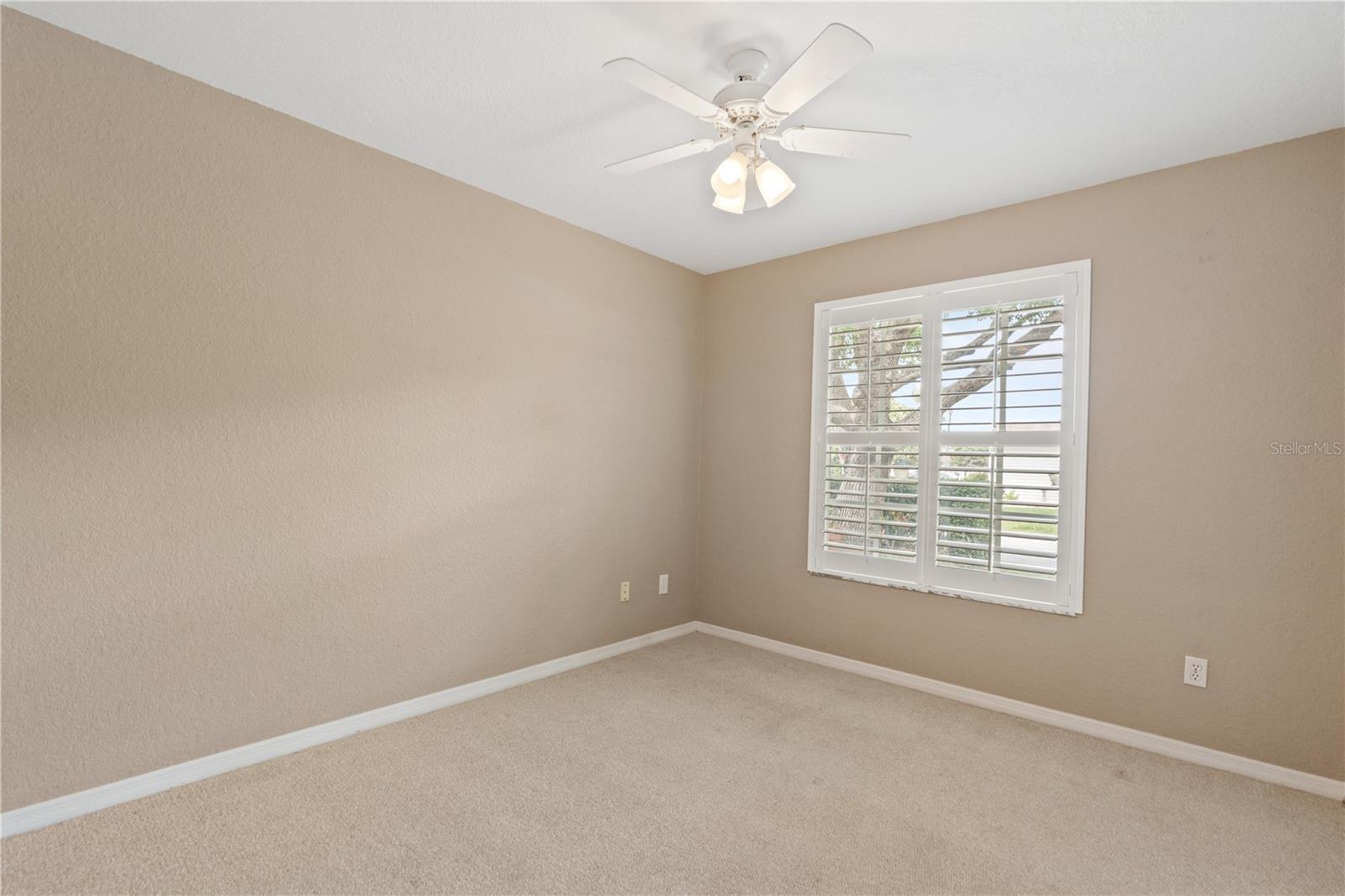 21506 GRAY TERN CT, LUTZ, FL, 33549