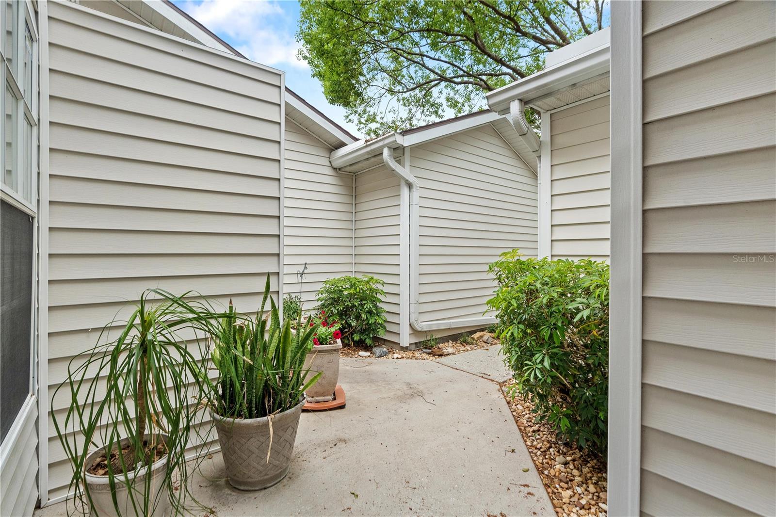 21506 GRAY TERN CT, LUTZ, FL, 33549