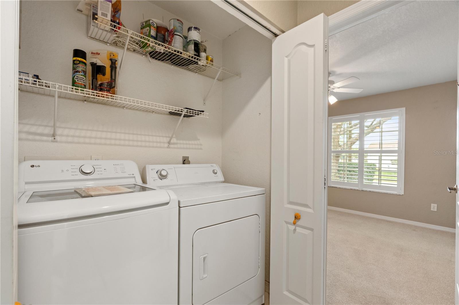 21506 GRAY TERN CT, LUTZ, FL, 33549