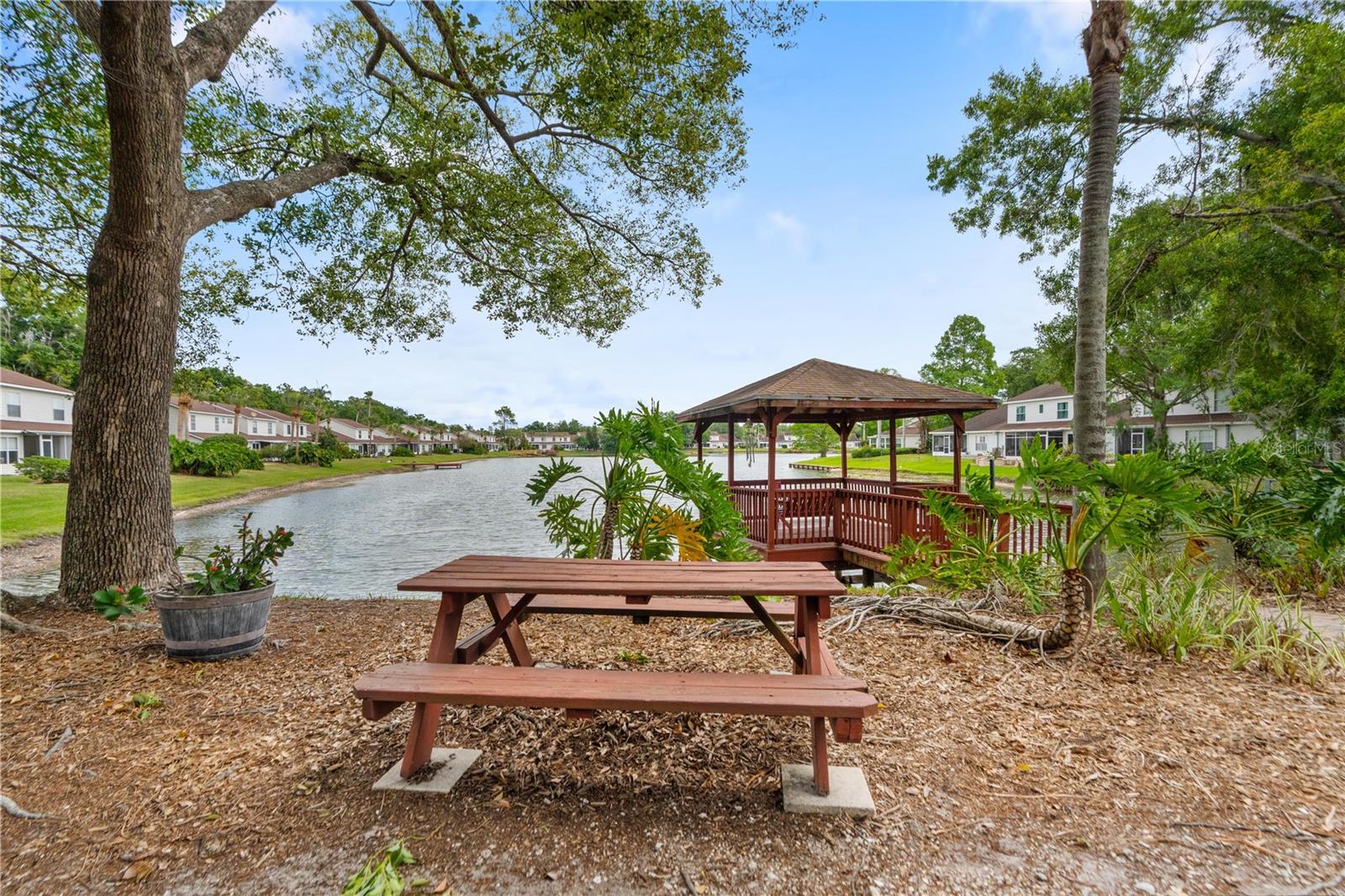 21506 GRAY TERN CT, LUTZ, FL, 33549