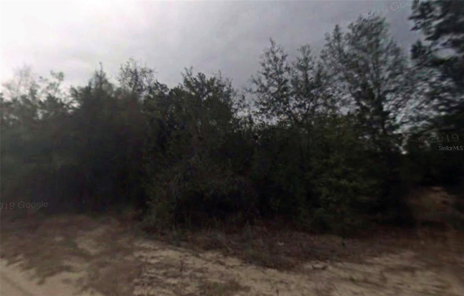 702 LONGWOOD AVE, INVERNESS, FL, 34453